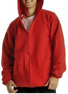 BLUSA DE MOLETON CAPUZ E ZIPER VER